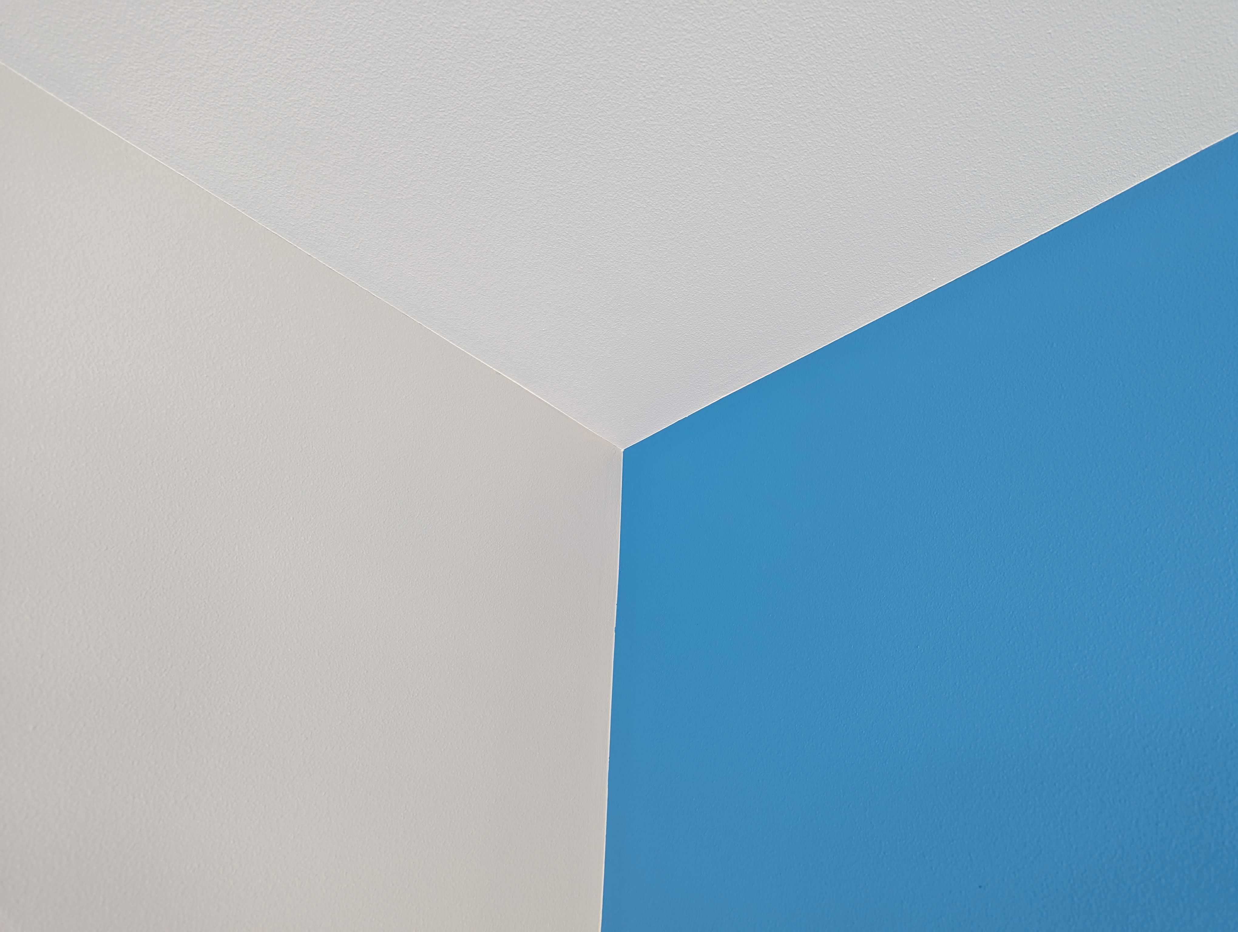Our color scheme